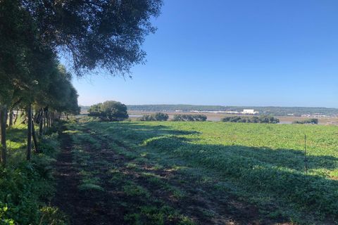 Terra a Barbate, Cadiz, Barbate - € 480.000 | Ref: vc 191 - foto 32